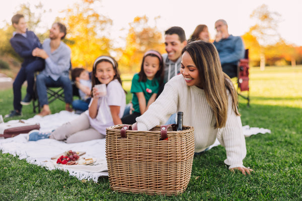 Introducing the Terrabella Picnic Basket