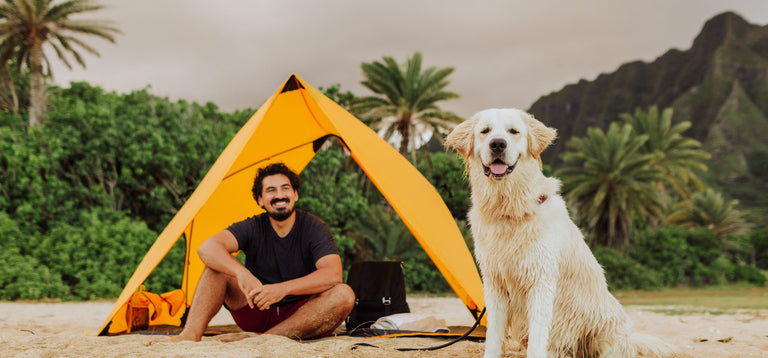 man sitting under beach tent with dog playing on the sand