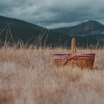 Country Picnic Basket-Picnic Time Family of Brands