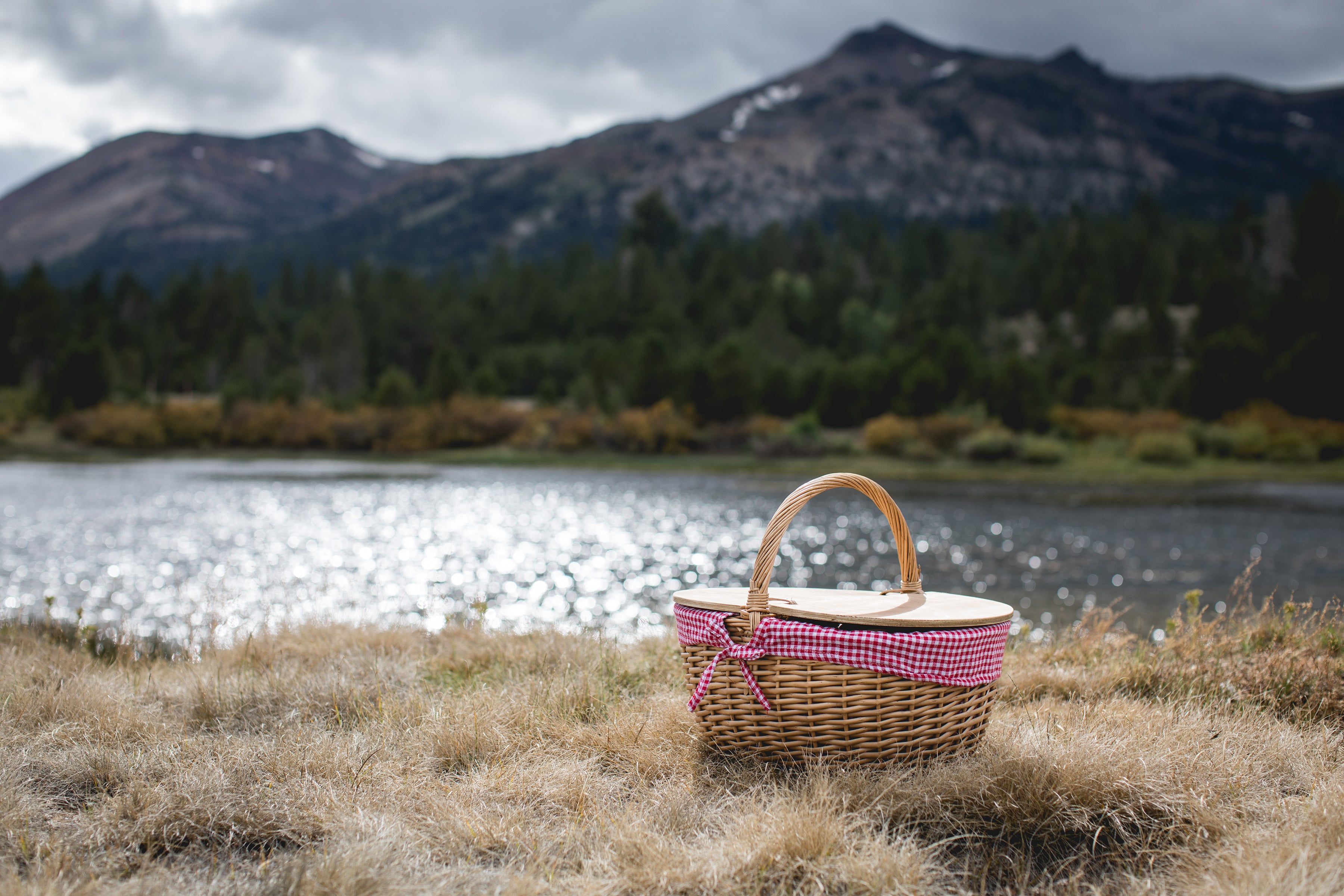 Country Picnic Basket-Picnic Time Family of Brands