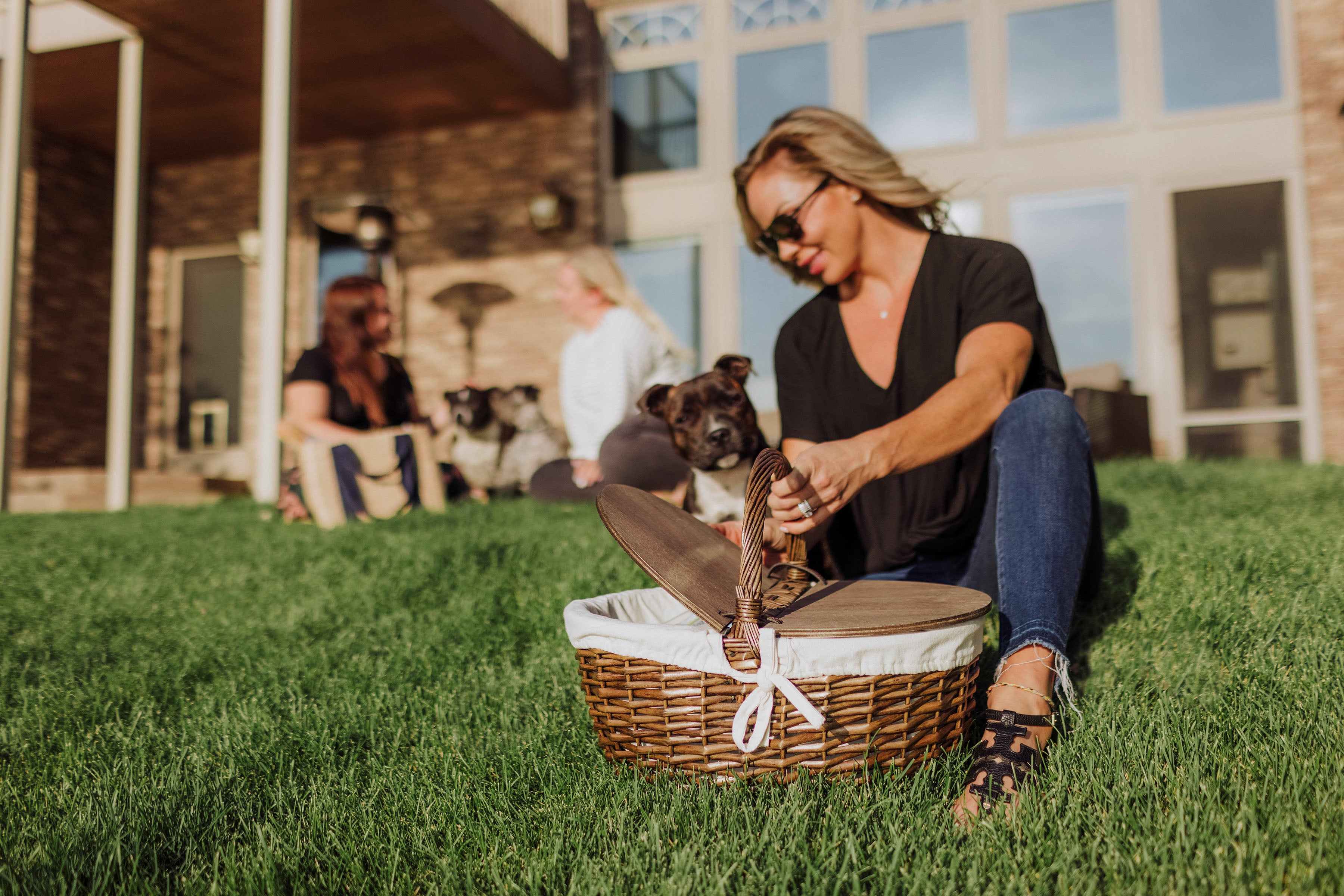 Country Picnic Basket-Picnic Time Family of Brands