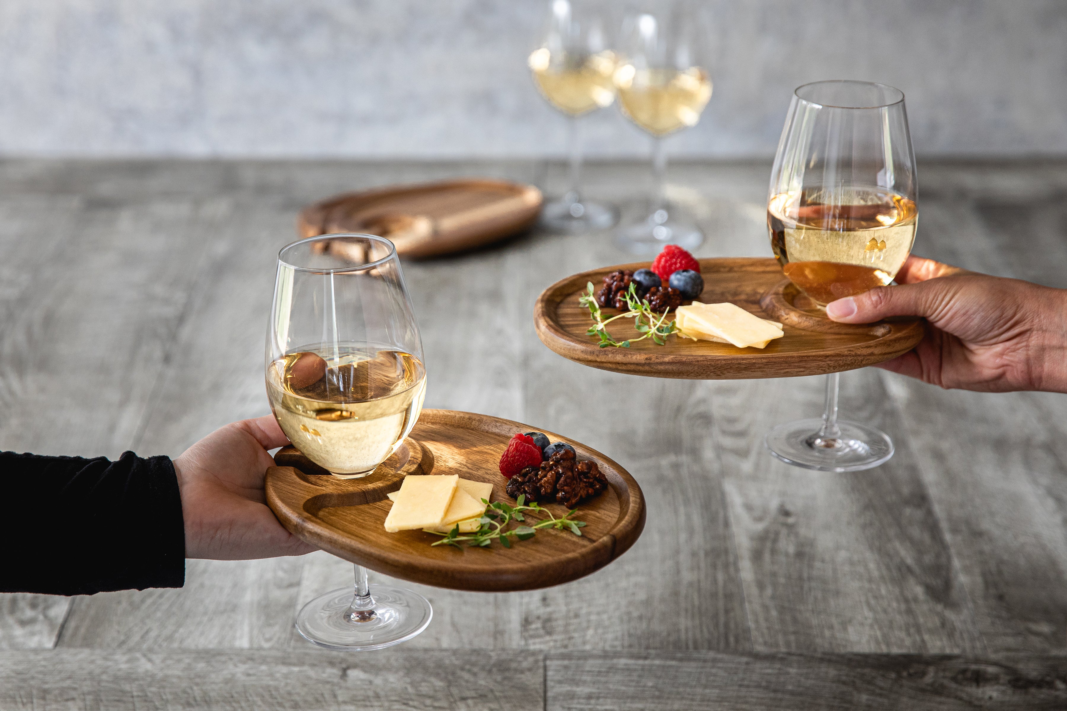 Wine Appetizer Plate Set Of 4-Picnic Time Family of Brands