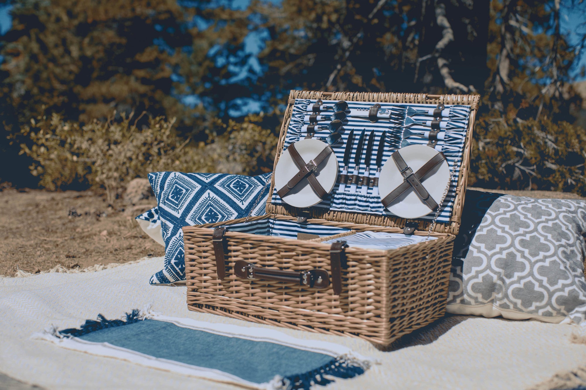 Navy Blue & White Stripe