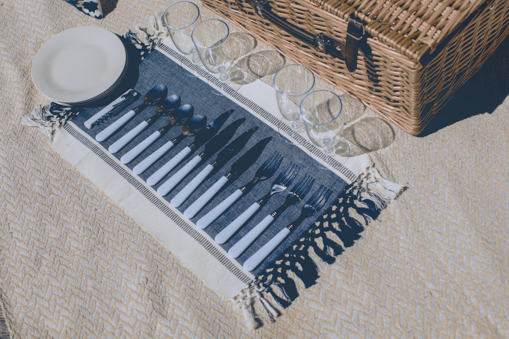 Navy Blue & White Stripe