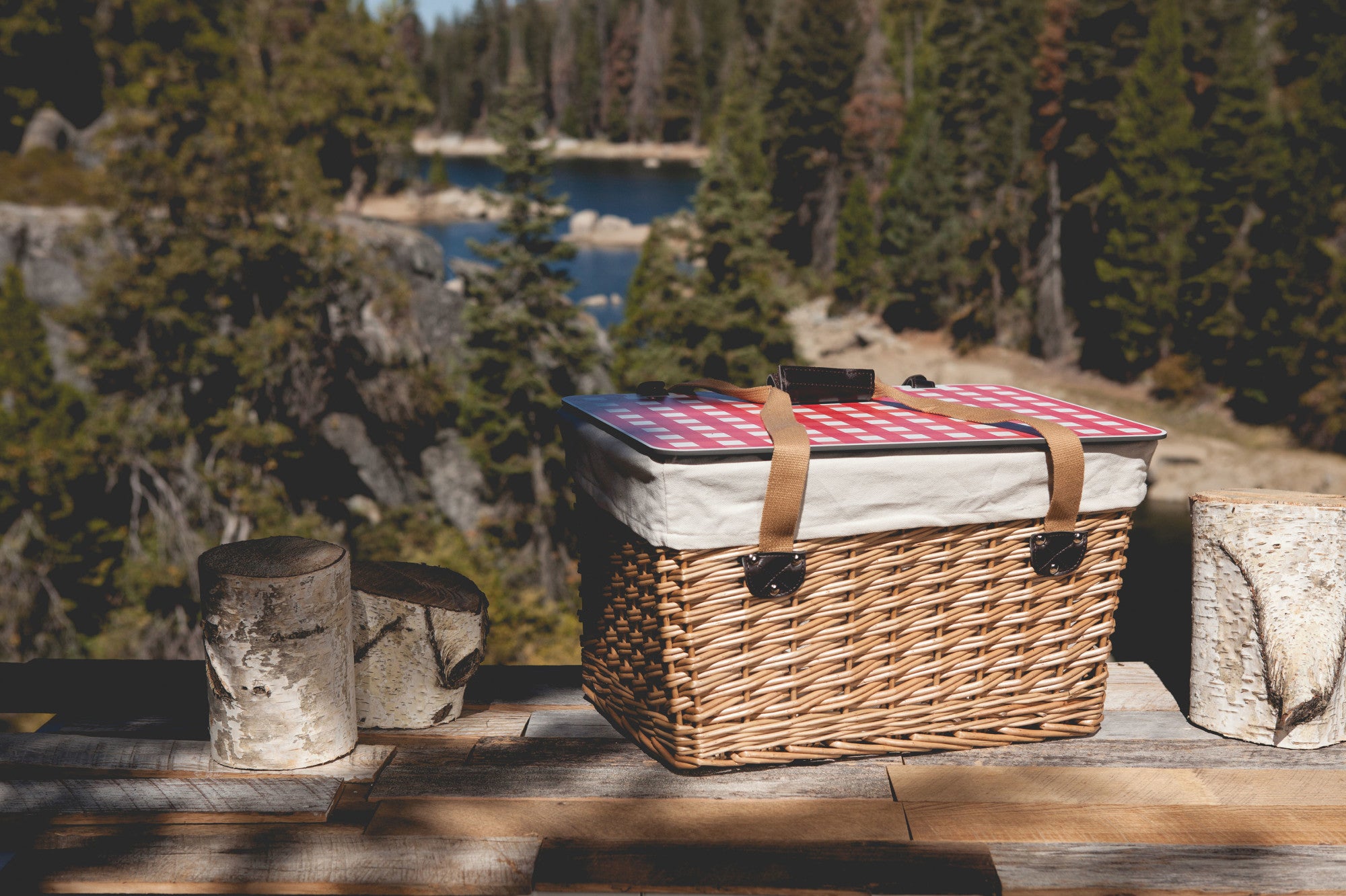 Beige Canvas with Red & White Gingham Pattern Lid