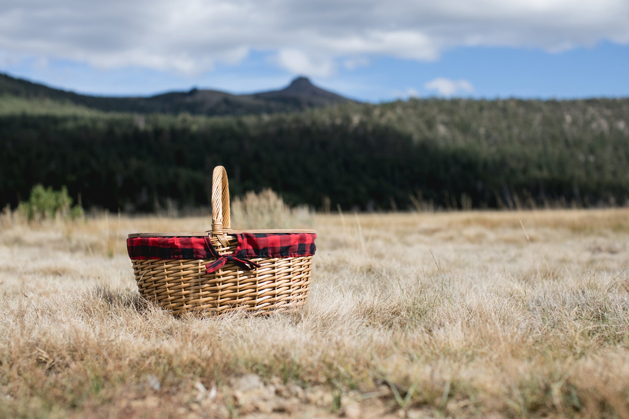 Red & Black Buffalo Plaid Pattern